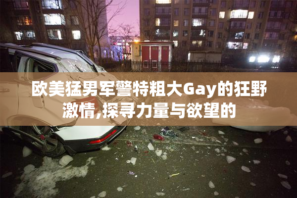 欧美猛男军警特粗大Gay的狂野激情,探寻力量与欲望的