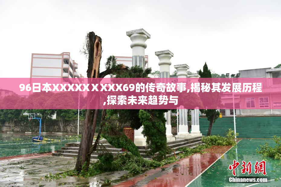 96日本XXXXXⅩXXX69的传奇故事,揭秘其发展历程,探索未来趋势与