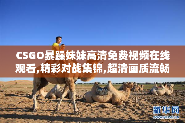 CSGO暴躁妹妹高清免费视频在线观看,精彩对战集锦,超清画质流畅体验