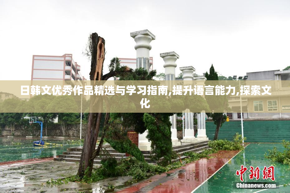 日韩文优秀作品精选与学习指南,提升语言能力,探索文化