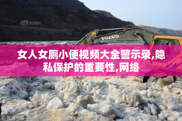 女人女厕小便视频大全警示录,隐私保护的重要性,网络