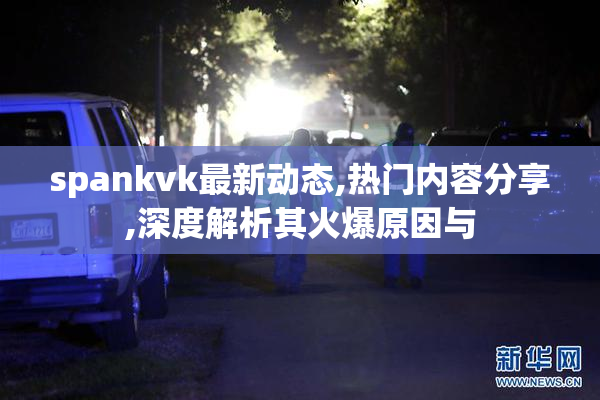 spankvk最新动态,热门内容分享,深度解析其火爆原因与
