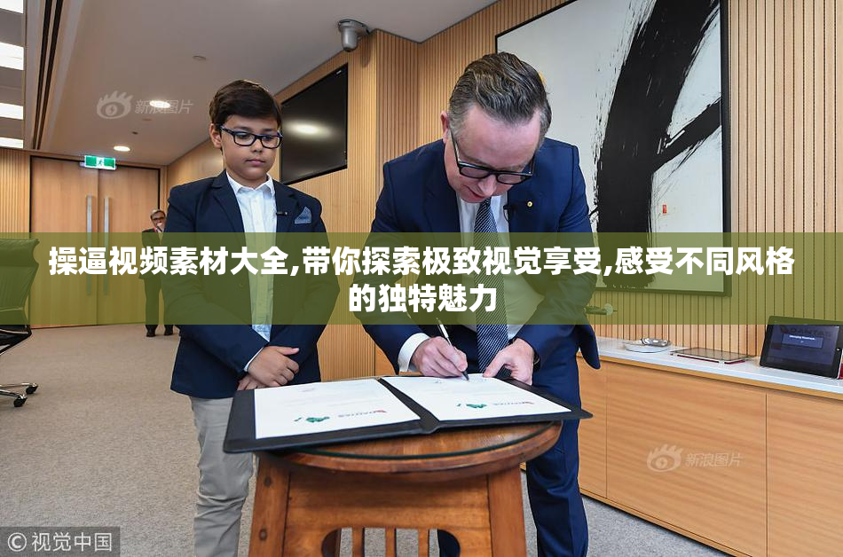 操逼视频素材大全,带你探索极致视觉享受,感受不同风格的独特魅力