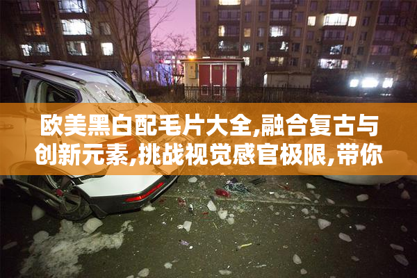 欧美黑白配毛片大全,融合复古与创新元素,挑战视觉感官极限,带你