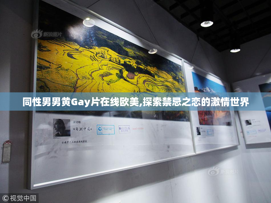 同性男男黄Gay片在线欧美,探索禁忌之恋的激情世界