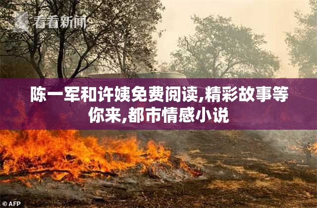 陈一军和许姨免费阅读,精彩故事等你来,都市情感小说