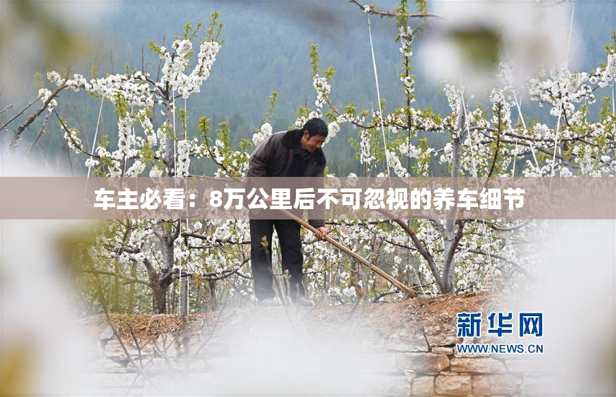 车主必看：8万公里后不可忽视的养车细节