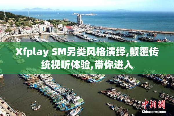 Xfplay SM另类风格演绎,颠覆传统视听体验,带你进入