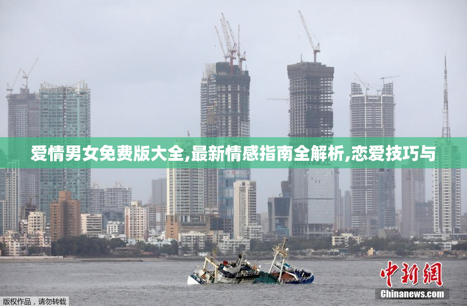 爱情男女免费版大全,最新情感指南全解析,恋爱技巧与