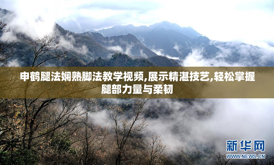 申鹤腿法娴熟脚法教学视频,展示精湛技艺,轻松掌握腿部力量与柔韧