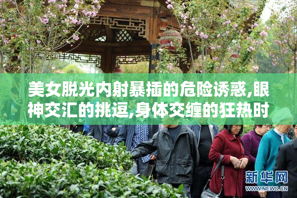 美女脱光内射暴插的危险诱惑,眼神交汇的挑逗,身体交缠的狂热时刻