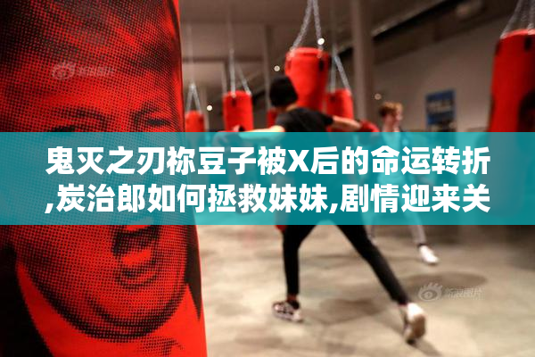 鬼灭之刃祢豆子被X后的命运转折,炭治郎如何拯救妹妹,剧情迎来关键
