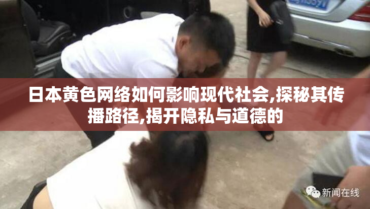 日本黄色网络如何影响现代社会,探秘其传播路径,揭开隐私与道德的
