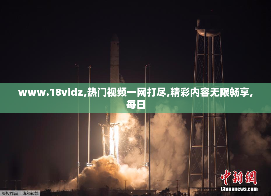 www.18vidz,热门视频一网打尽,精彩内容无限畅享,每日