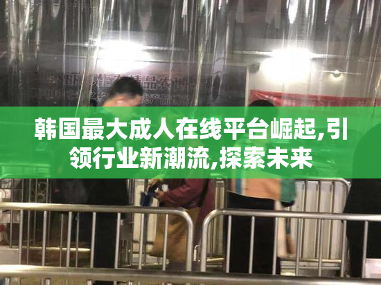 韩国最大成人在线平台崛起,引领行业新潮流,探索未来