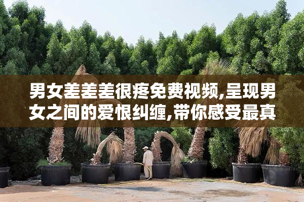 男女差差差很疼免费视频,呈现男女之间的爱恨纠缠,带你感受最真实