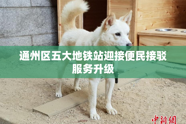 通州区五大地铁站迎接便民接驳服务升级