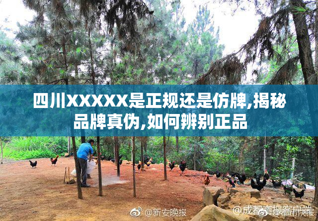 四川XXXXX是正规还是仿牌,揭秘品牌真伪,如何辨别正品