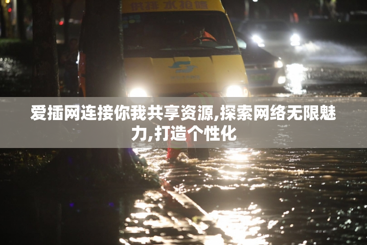 爱插网连接你我共享资源,探索网络无限魅力,打造个性化