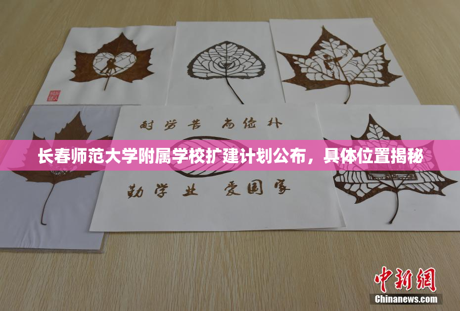 长春师范大学附属学校扩建计划公布，具体位置揭秘