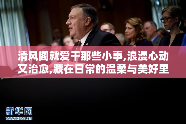 清风阁就爱干那些小事,浪漫心动又治愈,藏在日常的温柔与美好里