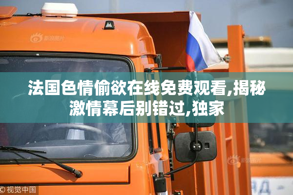 法国色情偷欲在线免费观看,揭秘激情幕后别错过,独家