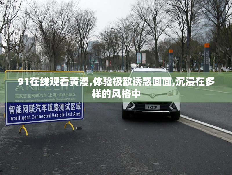 91在线观看黄漫,体验极致诱惑画面,沉浸在多样的风格中