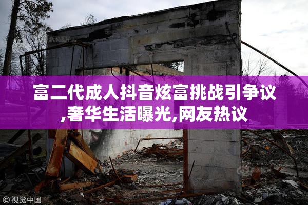富二代成人抖音炫富挑战引争议,奢华生活曝光,网友热议