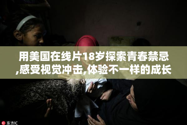 用美国在线片18岁探索青春禁忌,感受视觉冲击,体验不一样的成长