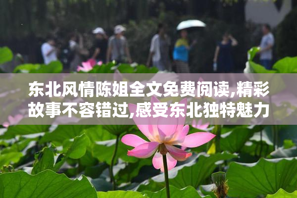 东北风情陈姐全文免费阅读,精彩故事不容错过,感受东北独特魅力与