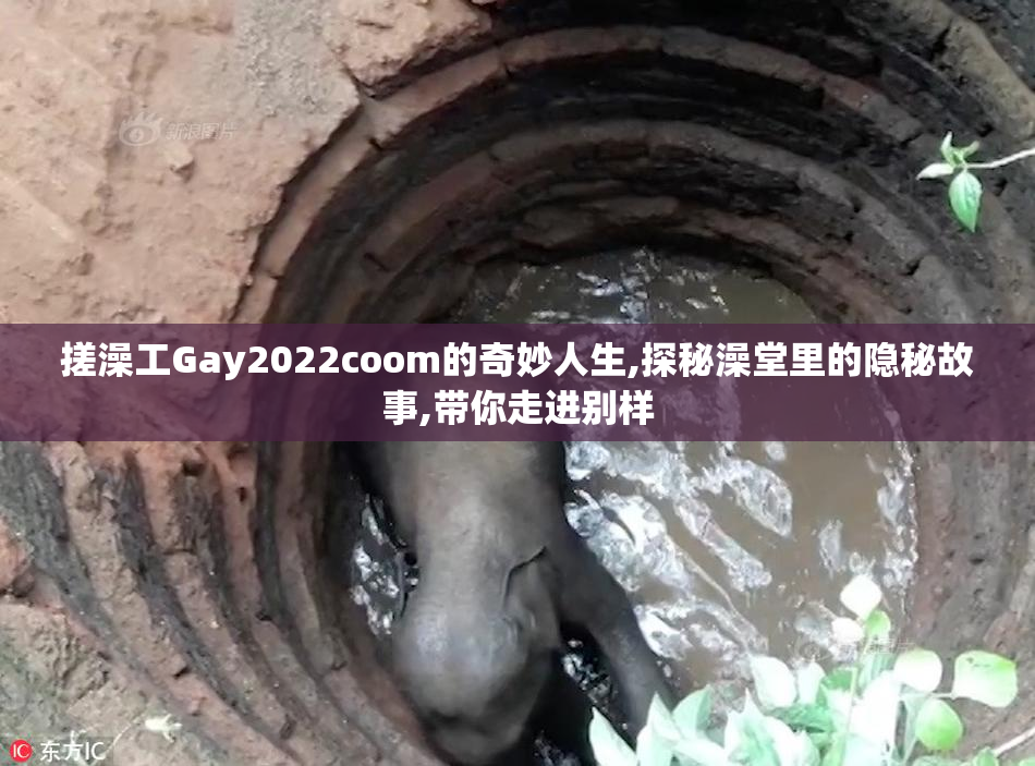 搓澡工Gay2022coom的奇妙人生,探秘澡堂里的隐秘故事,带你走进别样