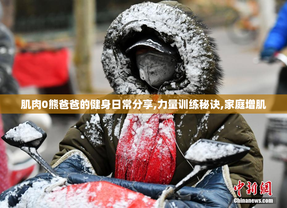 肌肉0熊爸爸的健身日常分享,力量训练秘诀,家庭增肌