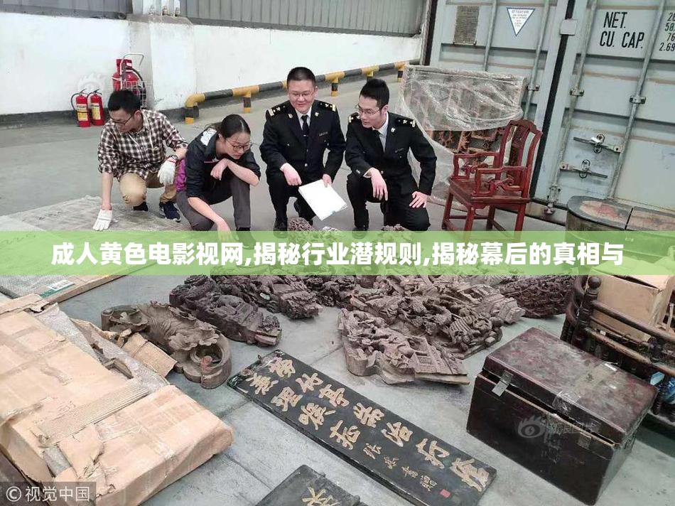 成人黄色电影视网,揭秘行业潜规则,揭秘幕后的真相与