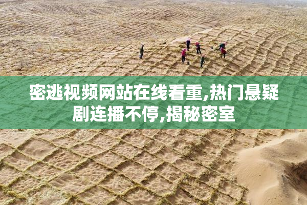 密逃视频网站在线看重,热门悬疑剧连播不停,揭秘密室