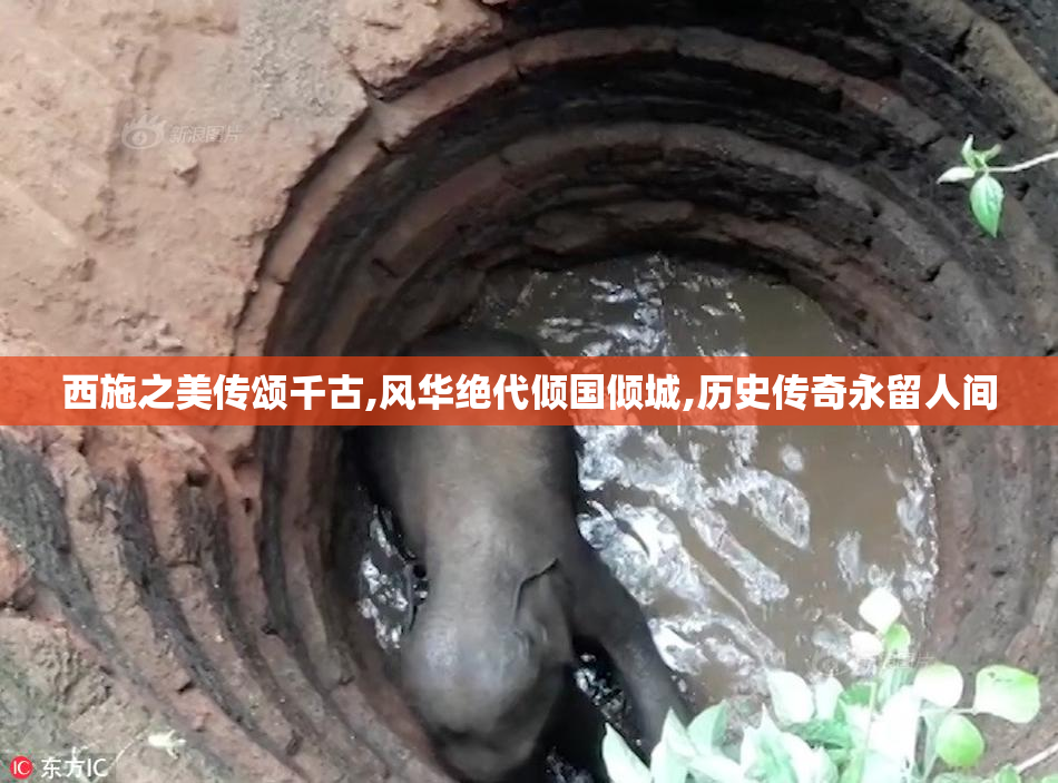 西施之美传颂千古,风华绝代倾国倾城,历史传奇永留人间