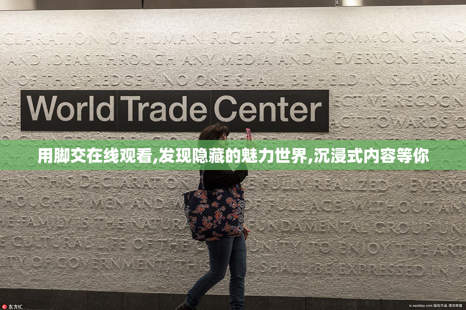 用脚交在线观看,发现隐藏的魅力世界,沉浸式内容等你
