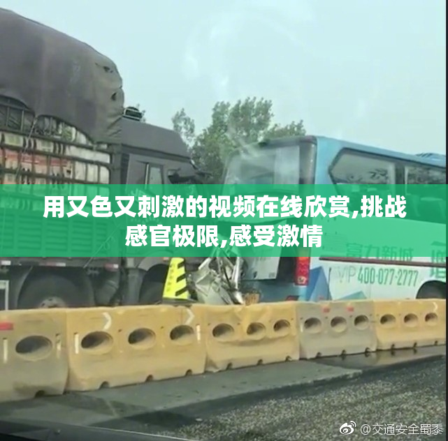 用又色又刺激的视频在线欣赏,挑战感官极限,感受激情