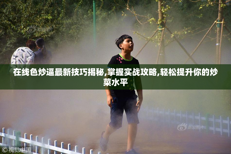 在线色炒逼最新技巧揭秘,掌握实战攻略,轻松提升你的炒菜水平
