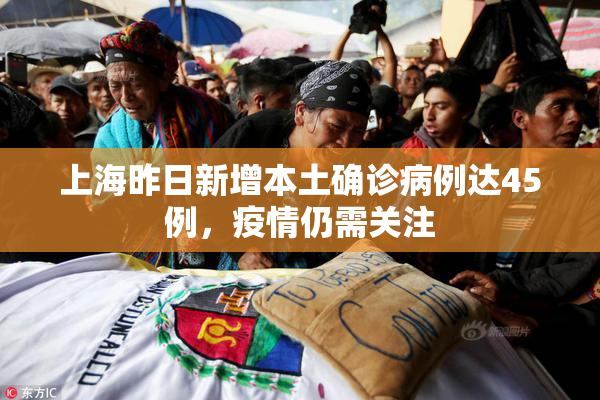 上海昨日新增本土确诊病例达45例，疫情仍需关注