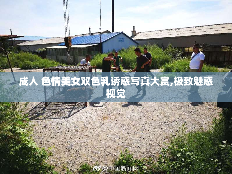 成人 色情美女双色乳诱惑写真大赏,极致魅惑视觉