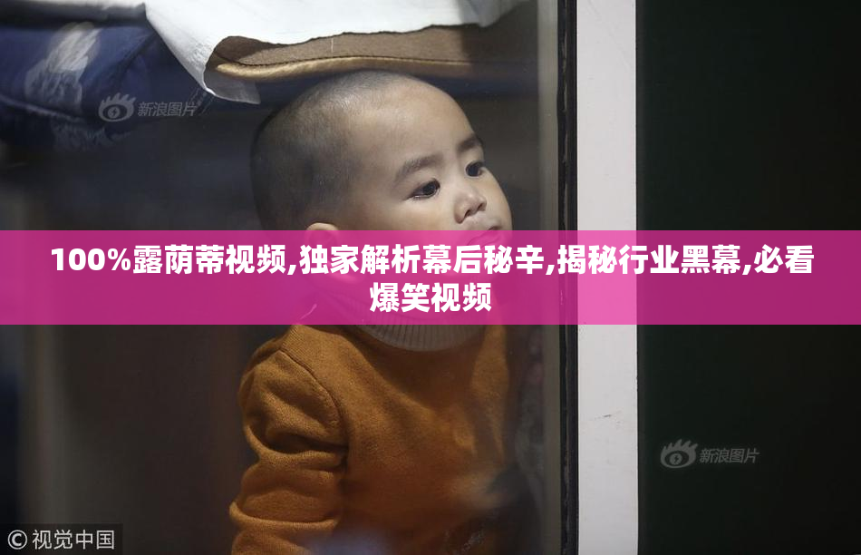 100%露荫蒂视频,独家解析幕后秘辛,揭秘行业黑幕,必看爆笑视频