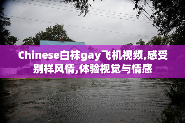 Chinese白袜gay飞机视频,感受别样风情,体验视觉与情感