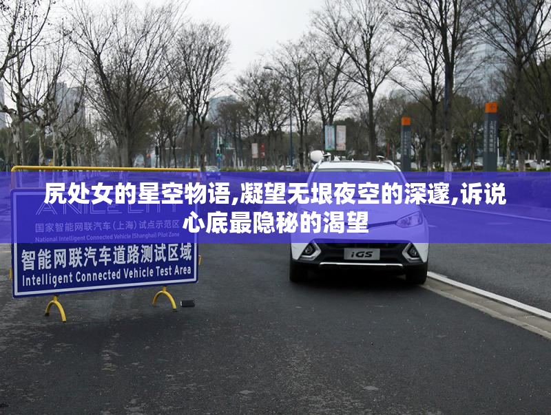 尻处女的星空物语,凝望无垠夜空的深邃,诉说心底最隐秘的渴望