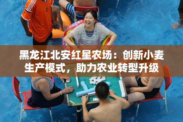 黑龙江北安红星农场：创新小麦生产模式，助力农业转型升级
