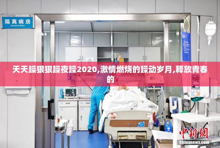 天天躁狠狠躁夜躁2020,激情燃烧的躁动岁月,释放青春的