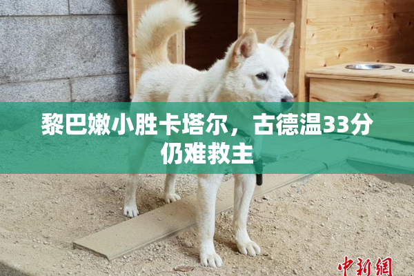 黎巴嫩小胜卡塔尔，古德温33分仍难救主