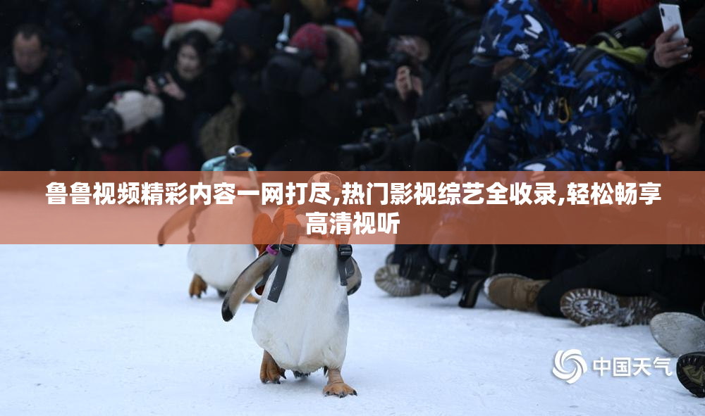 鲁鲁视频精彩内容一网打尽,热门影视综艺全收录,轻松畅享高清视听