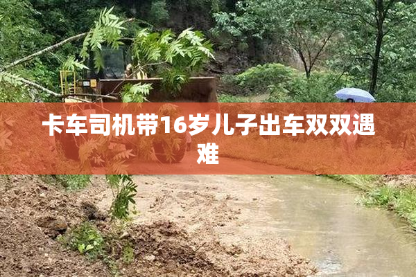 卡车司机带16岁儿子出车双双遇难