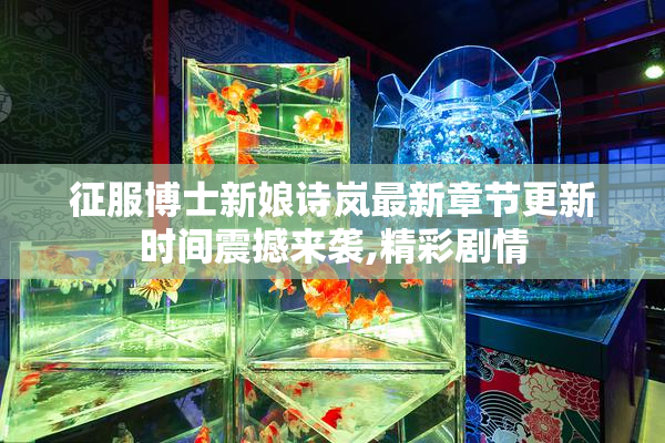 征服博士新娘诗岚最新章节更新时间震撼来袭,精彩剧情