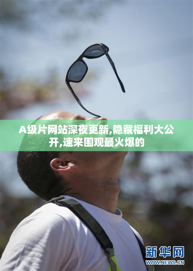 A级片网站深夜更新,隐藏福利大公开,速来围观最火爆的